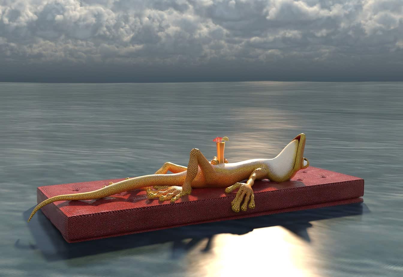 Frosch, See, Ausruhen, Wolken, Getränk, Relaxen, Luftmatratze, Feiertag, Tag der Arbeit